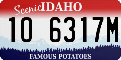 ID license plate 1O6317M
