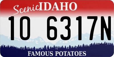 ID license plate 1O6317N