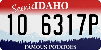 ID license plate 1O6317P