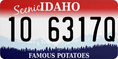 ID license plate 1O6317Q