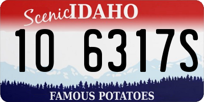 ID license plate 1O6317S