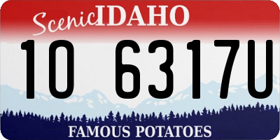ID license plate 1O6317U