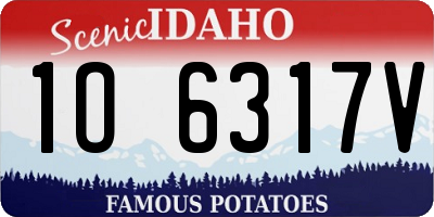 ID license plate 1O6317V