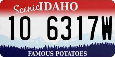 ID license plate 1O6317W