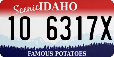 ID license plate 1O6317X
