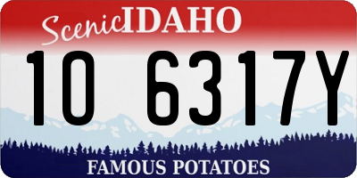 ID license plate 1O6317Y
