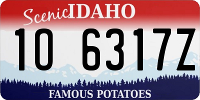 ID license plate 1O6317Z