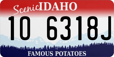 ID license plate 1O6318J