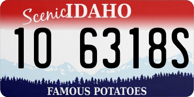 ID license plate 1O6318S