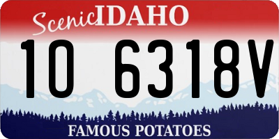 ID license plate 1O6318V