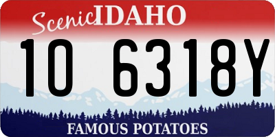 ID license plate 1O6318Y
