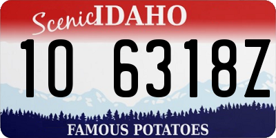 ID license plate 1O6318Z