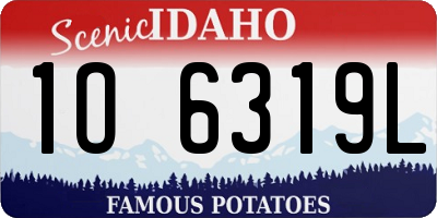 ID license plate 1O6319L
