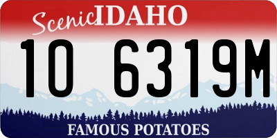 ID license plate 1O6319M