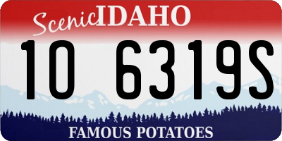 ID license plate 1O6319S