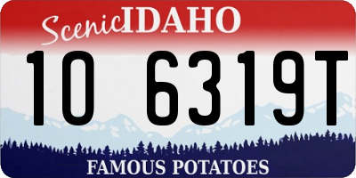 ID license plate 1O6319T