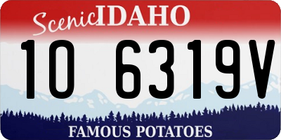 ID license plate 1O6319V