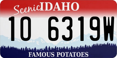 ID license plate 1O6319W
