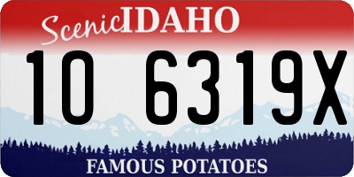 ID license plate 1O6319X