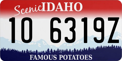ID license plate 1O6319Z