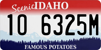 ID license plate 1O6325M