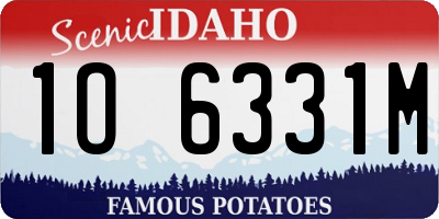 ID license plate 1O6331M