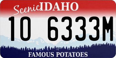 ID license plate 1O6333M