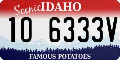 ID license plate 1O6333V