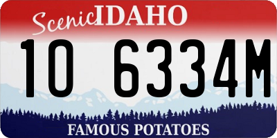 ID license plate 1O6334M