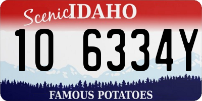 ID license plate 1O6334Y