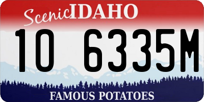 ID license plate 1O6335M