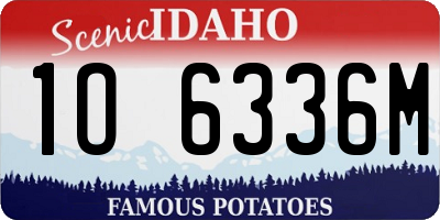 ID license plate 1O6336M