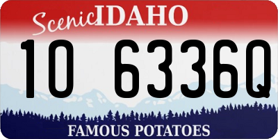 ID license plate 1O6336Q