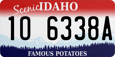 ID license plate 1O6338A
