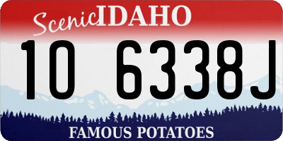 ID license plate 1O6338J
