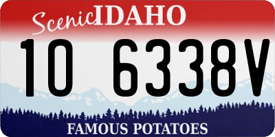 ID license plate 1O6338V