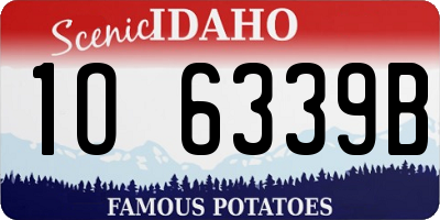 ID license plate 1O6339B