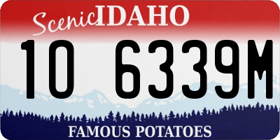 ID license plate 1O6339M