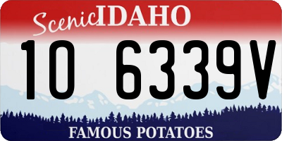 ID license plate 1O6339V