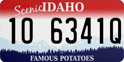 ID license plate 1O6341Q