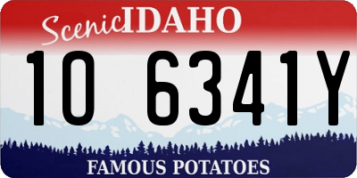 ID license plate 1O6341Y