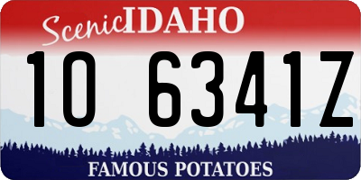 ID license plate 1O6341Z