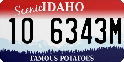 ID license plate 1O6343M