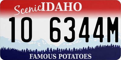 ID license plate 1O6344M