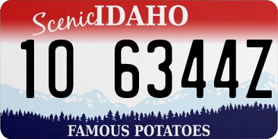 ID license plate 1O6344Z