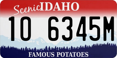 ID license plate 1O6345M