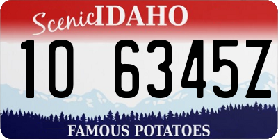 ID license plate 1O6345Z