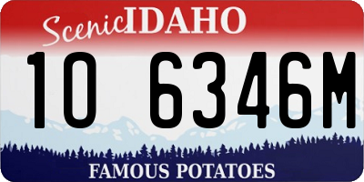 ID license plate 1O6346M