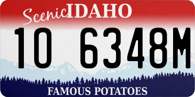 ID license plate 1O6348M