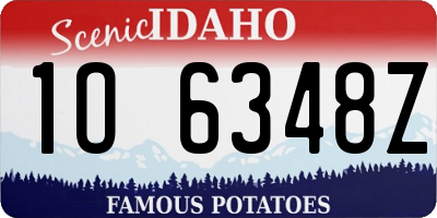 ID license plate 1O6348Z